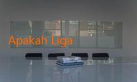 Apakah Liga Pro Saudi Siap Bersanding Dengan Premier League? Melihat Ambisi dan Strategi Baru 