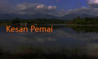 Kesan Pemain Naturalisasi Baru Setelah Gabung Pemusatan Latihan Timnas: Semangat Baru dan Tantangan Baru 