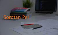 Sorotan Pelatih Liga BRI yang Mengubah Nasib Timnya: Kisah Inspiratif di Balik Lapangan 
