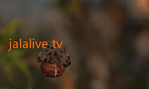 jalalive tv apk-Chelsea Dapat Dukungan Penuh Fans, Fluminense Tak Gentar